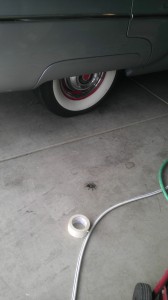 Tarantula eyeing your car.