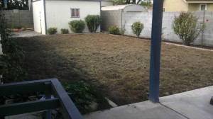 After being tilled.